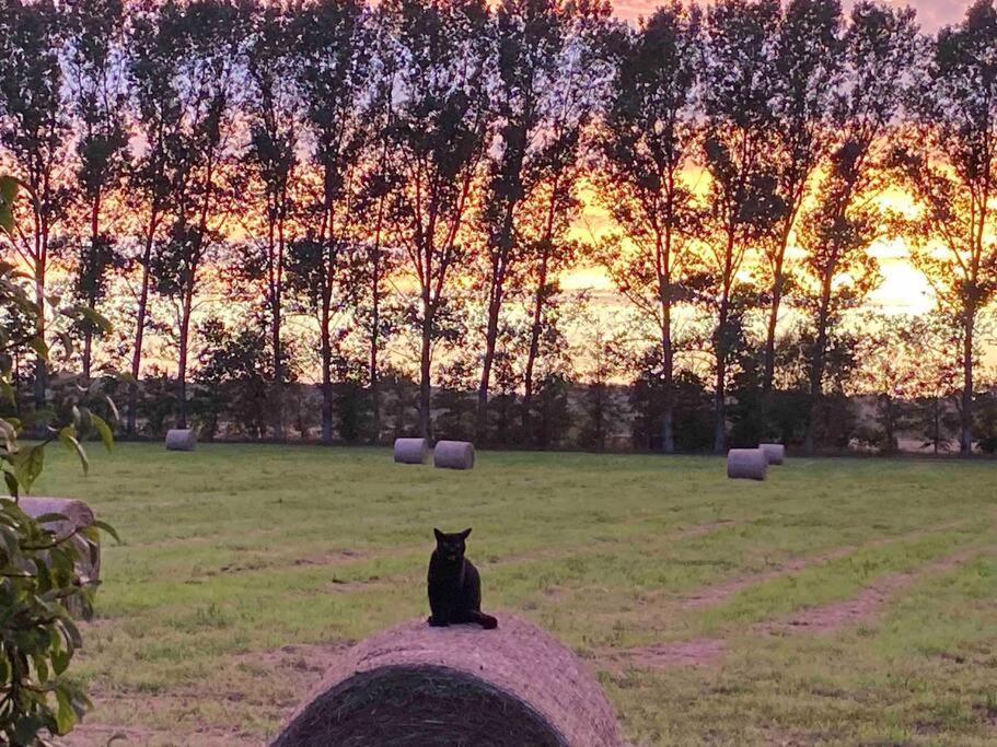 Ferienwohnung Kompass Nahe Der Ostsee Im Gruenen Bad Doberan Bagian luar foto